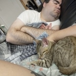 Mina Savannah F-5SBT Brown Spotted female DOB 6-13-22