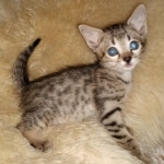 IMG_20200811_175702427