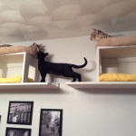 Guinness with new friends