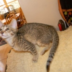 DSCN7889-800