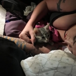 Ra F-6A female silver spotted Savannah DOB 10-15-15