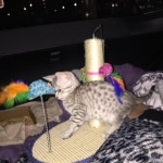 ra on her way home