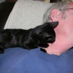 Savannah F-6B Black on Black female kitten for sale