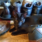 rajah, Savannah,  F-6 Savannah11-14