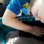 Harry Potter Savannah, F-6b, Black on Black, Male DOB 12/29/16