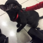 11215189_10153449288185944_6863491163937403075_n