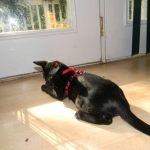 DSCN0452-800