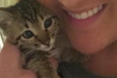 Jag Savannah F-6SBT "Big Girl" Brown Spotted female DOB 10-8-14