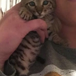 Tater and Jag