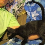 Savannah, F-6SBT, Black on Black, Female, DOB 4-20-17