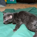 DSCN7335-800