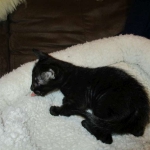 Savannah, Black on Black Male, DOB 4-20-17