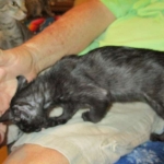 Savannah, Black on Black Male, DOB 4-20-17