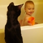 Magic, F-6SBT, male, Savannah, DOB 4-2017