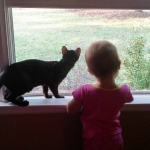 Magic, F-6SBT, male, Savannah, DOB 4-2017