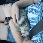 Rico Savannah F-6SBT Male DOB 5-29-22