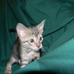 DSCN7449-800