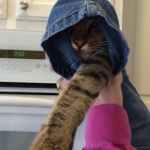 5283a286-a91d-45dd-9a0c-6cbc1088aca6