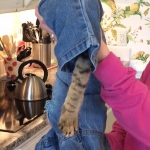 d27a582b-6102-46af-805c-dc5e7ab2203f