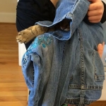 f39d5c46-b9e4-442a-a243-d2e7babcfe52