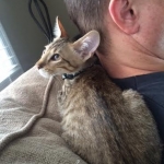 Noogie on Dad