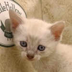 Savannah Snow female DOB 3-10-23