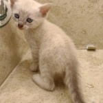 Savannah Snow female DOB 3-10-23