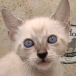 F-6SBT-Snow-Female-3-DOB-6-11-24c
