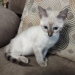 Snow-girl-3-F-6SBT-j