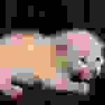 aaaa