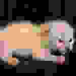 Savannah Snow female DOB 12-7-23