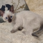 IMG_20240809_160858693