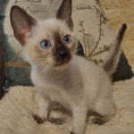 IMG_20240809_160910651