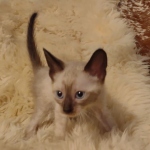 IMG_20210616_104517481_MP