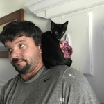 Bagheera, Savannah, F-7B, Black on Black, Female, DOB 6/3/17