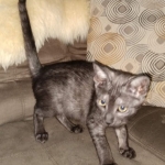 IMG_20190428_110952546