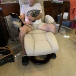 Diamond Annie, Savannah, F-7B, Female, Calico, DOB 1-29-19