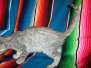 Silver, Savannah, F-7B Silver female #2 DOB 5-23-17