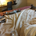 JPEG_20171008_094403_1536452287