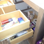 Baloo, Savannah, F-7B, silver/blue, female, DOB 5-23-17