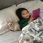 Khaleesi, Savannah, F-7B, snow, female, DOB 2-11-20