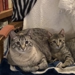 A33B048D-A47D-4AA7-93A3-FA7F12389178