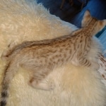 IMG_20200108_135820432