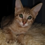 IMG_20200108_135839870