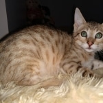 IMG_20200108_135846722