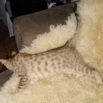 IMG_20200108_140013279