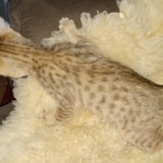 IMG_20200108_140019866