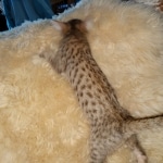 IMG_20200108_140023804