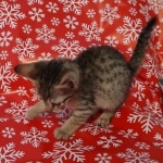 IMG_20211223_114143006