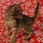 IMG_20211223_114159853